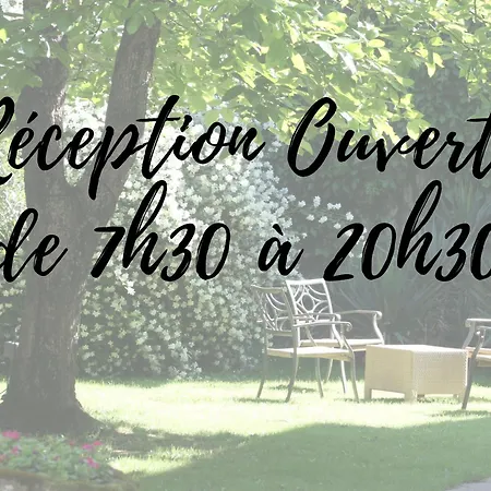 Hotel Du Grand Saint Antoine Albi