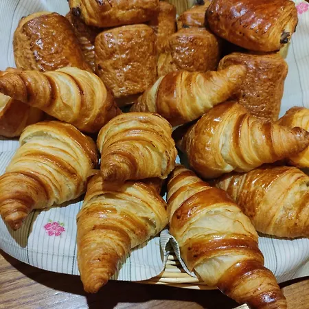 Du Grand Saint Antoine 3* Albi