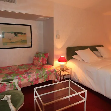 Du Grand Saint Antoine Hotel Albi