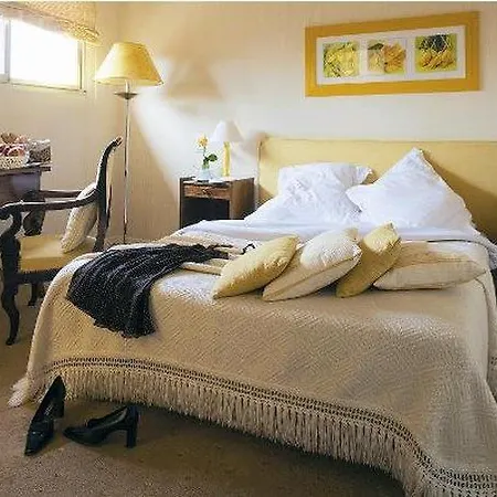 Du Grand Saint Antoine 3* Albi