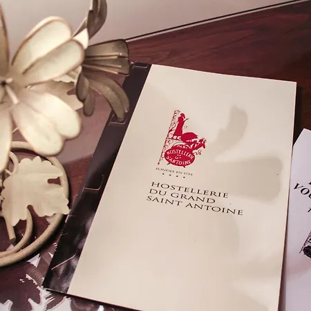 Du Grand Saint Antoine 3* Albi