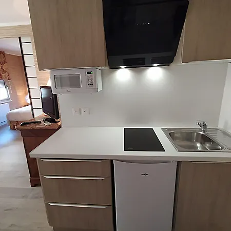 Du Grand Saint Antoine 3* Albi