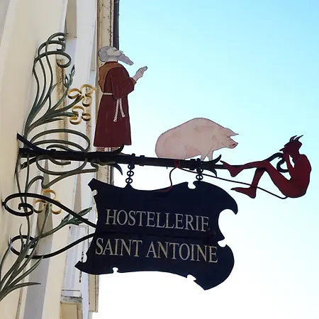 Du Grand Saint Antoine Hotel Albi